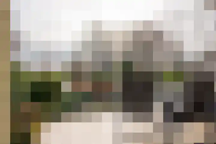 Doetse Vliet 24 Giessenburg thumbnail 52