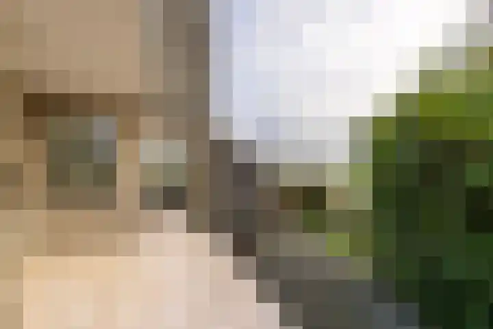 Doetse Vliet 24 Giessenburg thumbnail 53