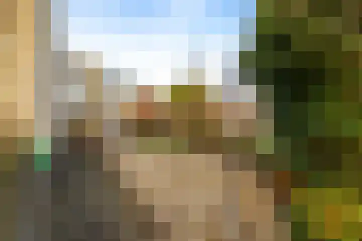 Doetse Vliet 24 Giessenburg thumbnail 54