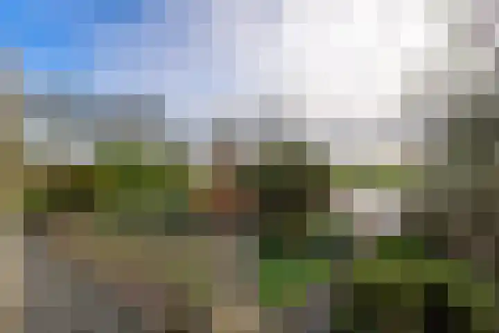 Doetse Vliet 24 Giessenburg thumbnail 57