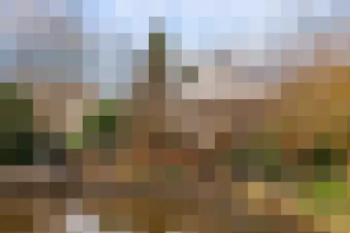 Doetse Vliet 24 Giessenburg thumbnail 58