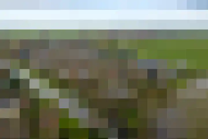 Doetse Vliet 24 Giessenburg thumbnail 6