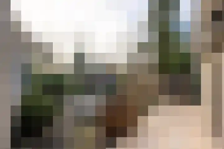 Doetse Vliet 24 Giessenburg thumbnail 62