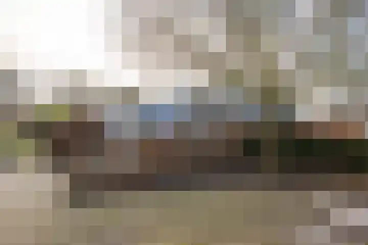 Doetse Vliet 24 Giessenburg thumbnail 64