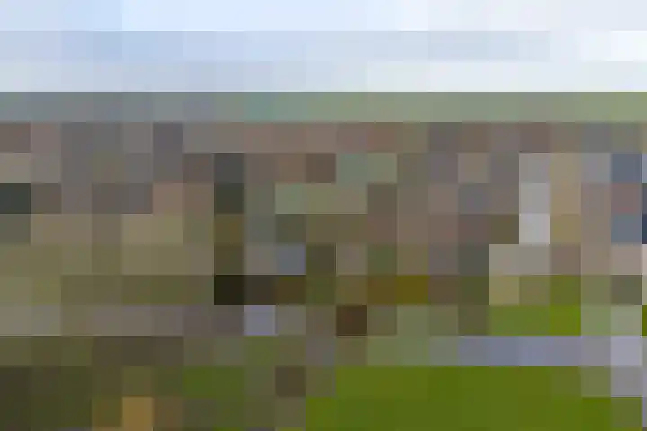 Doetse Vliet 24 Giessenburg thumbnail 7
