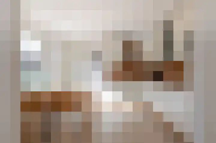 Doetse Vliet 8 Giessenburg thumbnail 13
