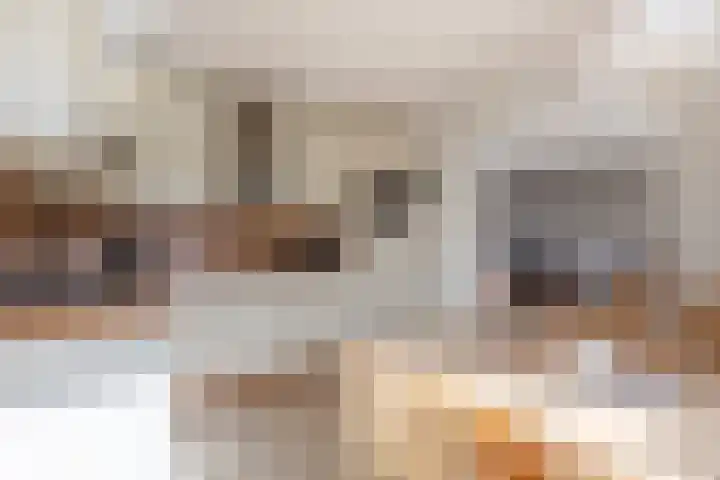 Doetse Vliet 8 Giessenburg thumbnail 16