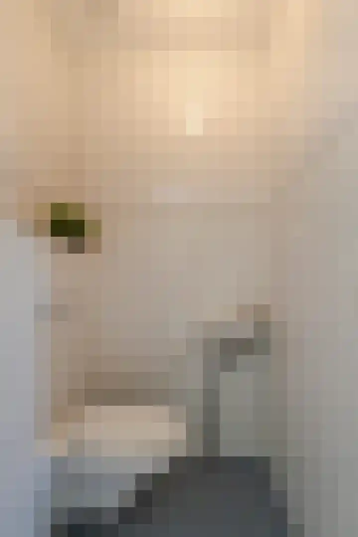 Doetse Vliet 8 Giessenburg thumbnail 21