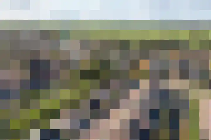 Doetse Vliet 8 Giessenburg thumbnail 4