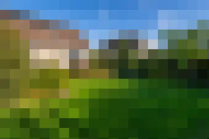 Doetse Vliet 8 Giessenburg thumbnail 40
