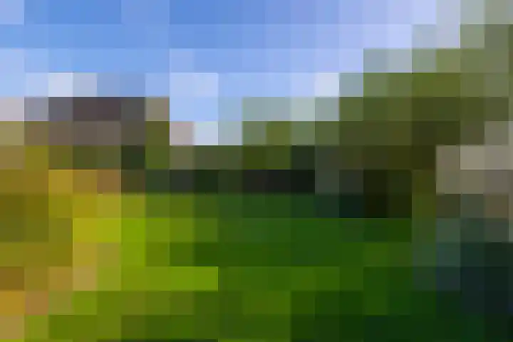 Doetse Vliet 8 Giessenburg thumbnail 41