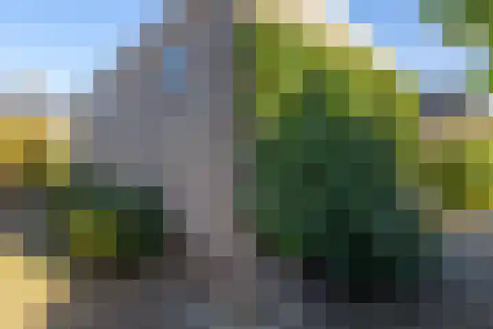 Doetse Vliet 8 Giessenburg thumbnail 42