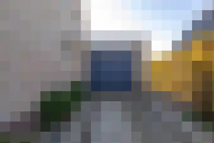 Doetse Vliet 8 Giessenburg thumbnail 43