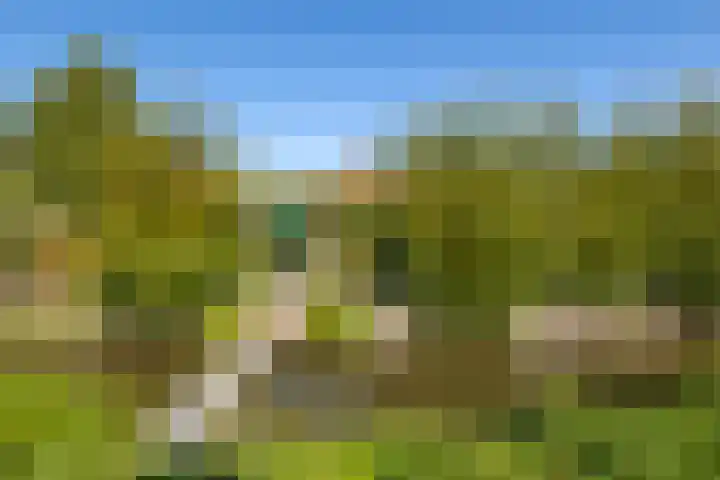 Doetse Vliet 8 Giessenburg thumbnail 46