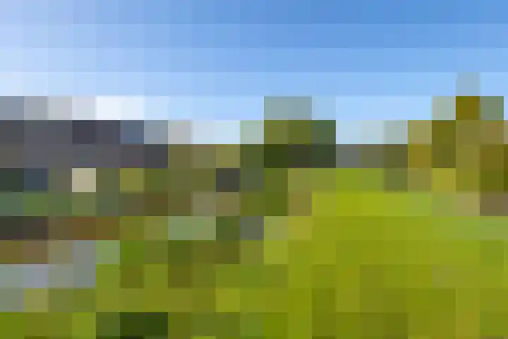 Doetse Vliet 8 Giessenburg thumbnail 47