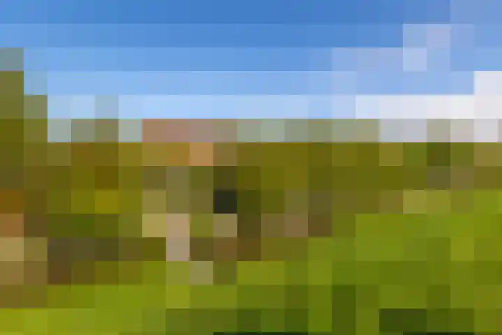 Doetse Vliet 8 Giessenburg thumbnail 49