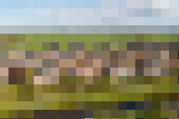 Doetse Vliet 8 Giessenburg thumbnail 51