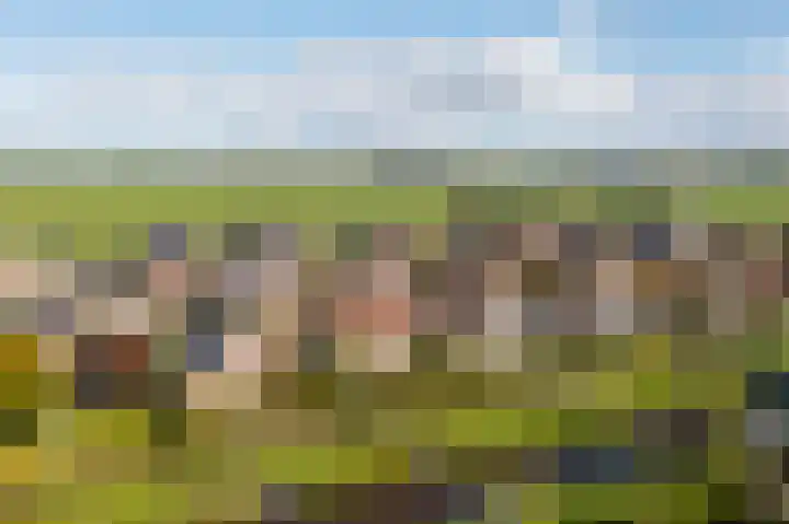 Doetse Vliet 8 Giessenburg thumbnail 52