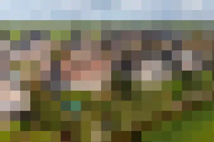 Doetse Vliet 8 Giessenburg thumbnail 53