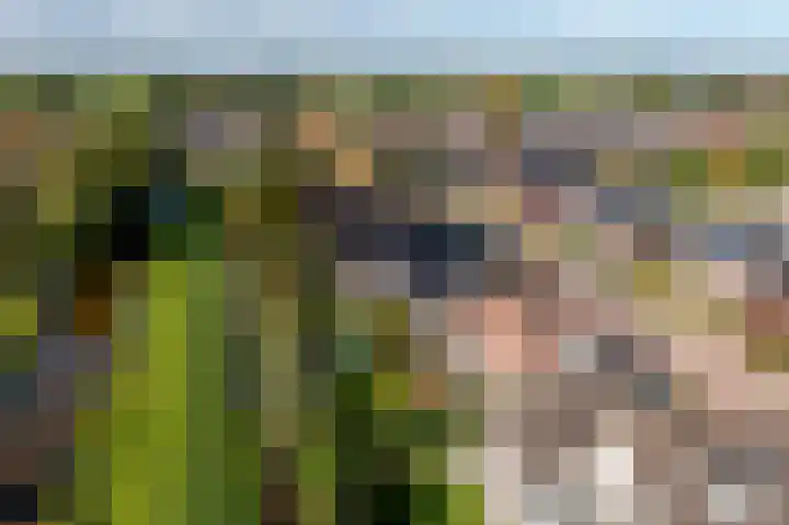 Doetse Vliet 8 Giessenburg thumbnail 55