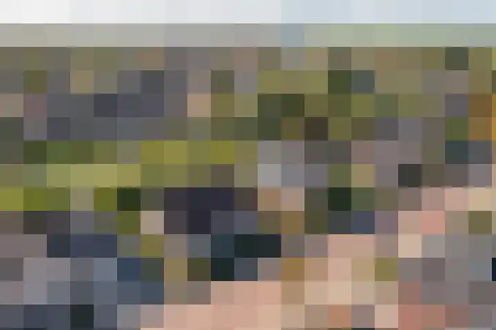 Doetse Vliet 8 Giessenburg thumbnail 57