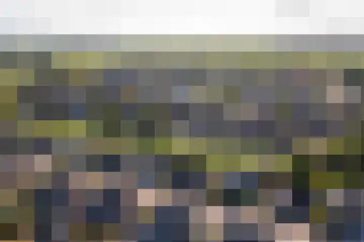 Doetse Vliet 8 Giessenburg thumbnail 58