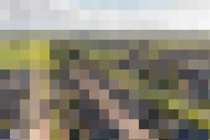 Doetse Vliet 8 Giessenburg thumbnail 59