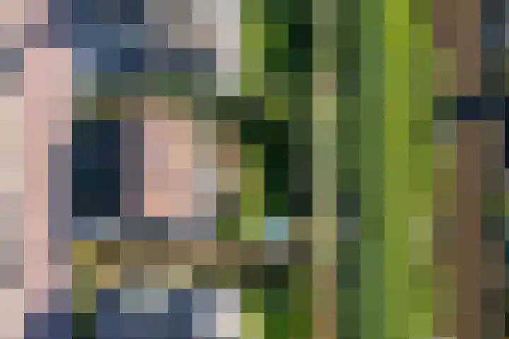 Doetse Vliet 8 Giessenburg thumbnail 60