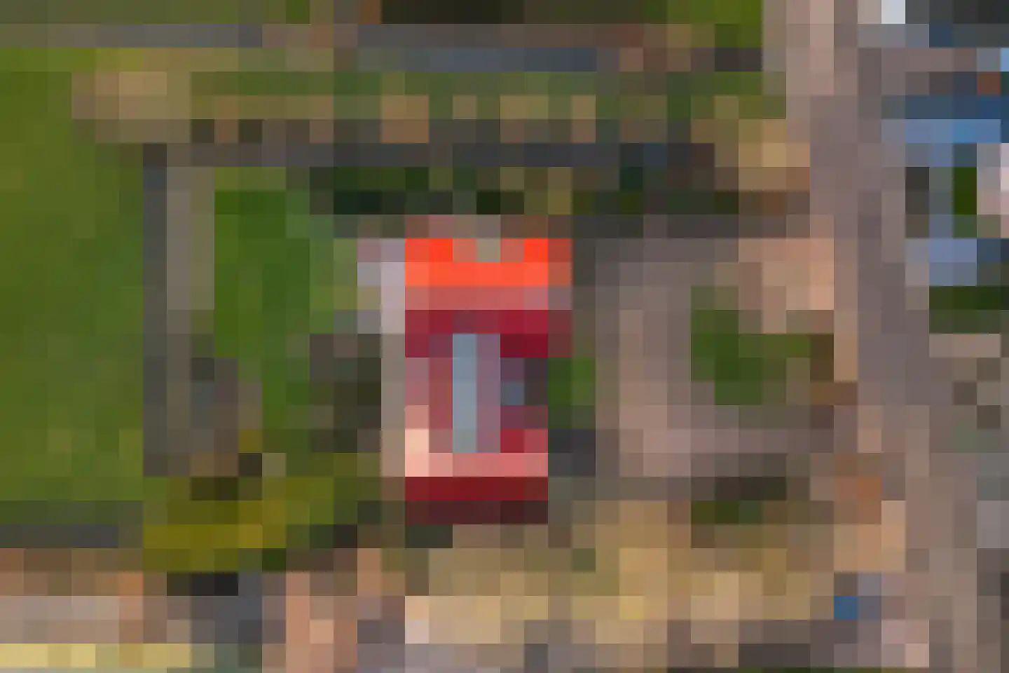Doetseweg 16 A Giessenburg thumbnail 33