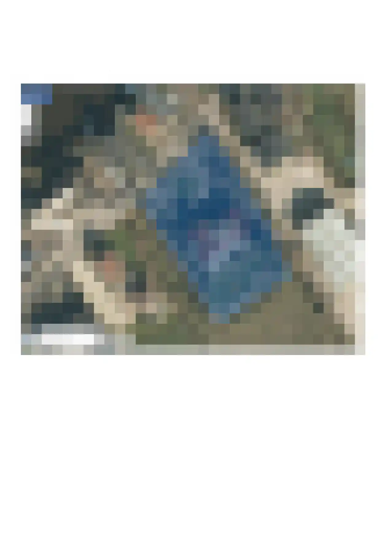 Doetseweg 16 A Giessenburg thumbnail 34