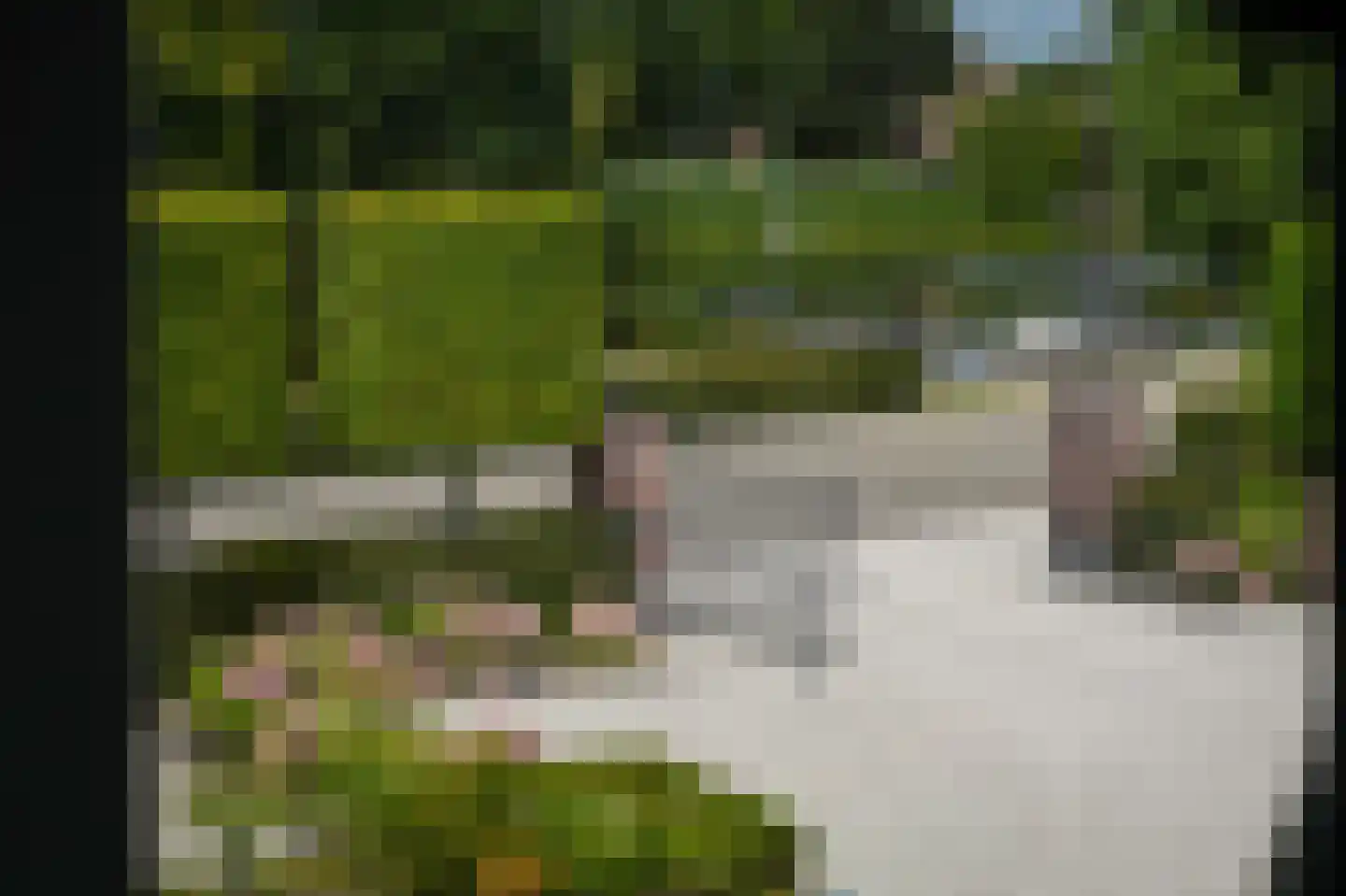 Doetseweg 24 Giessenburg thumbnail 29