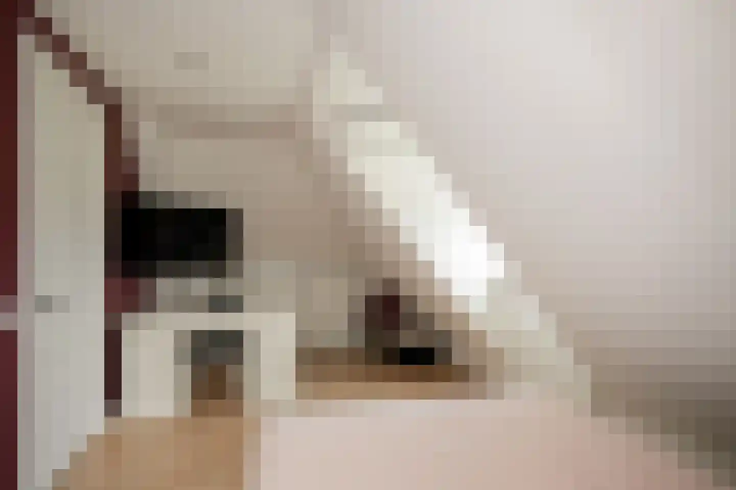Doetseweg 24 Giessenburg thumbnail 36