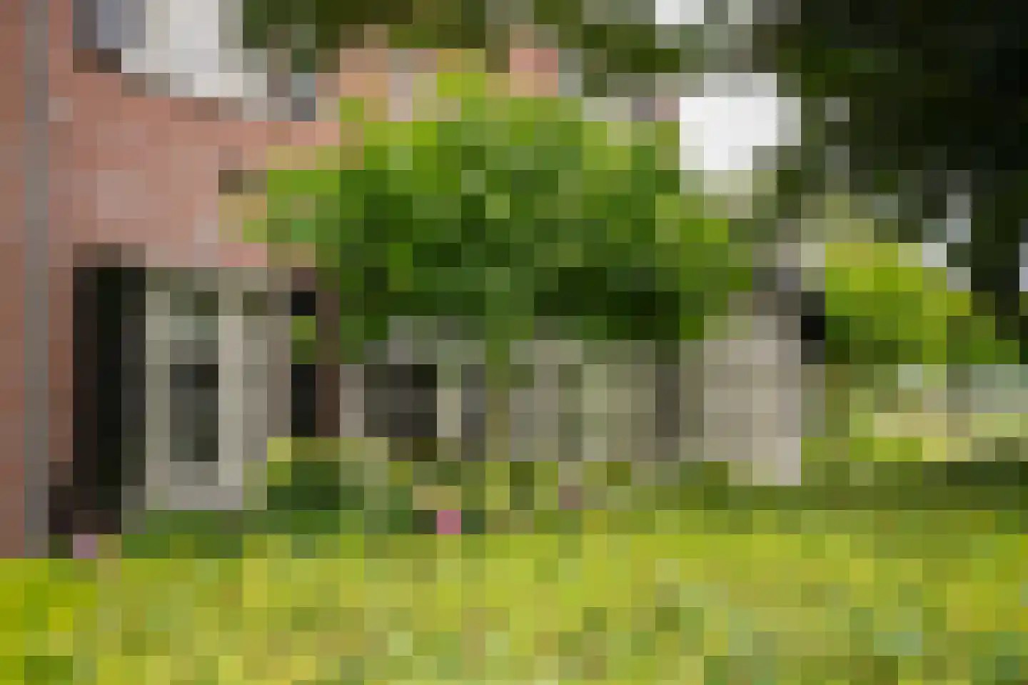 Doetseweg 24 Giessenburg thumbnail 51