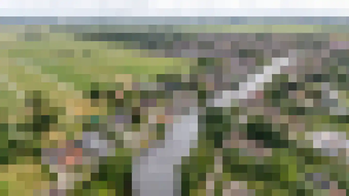 Doetseweg 24 Giessenburg thumbnail 55