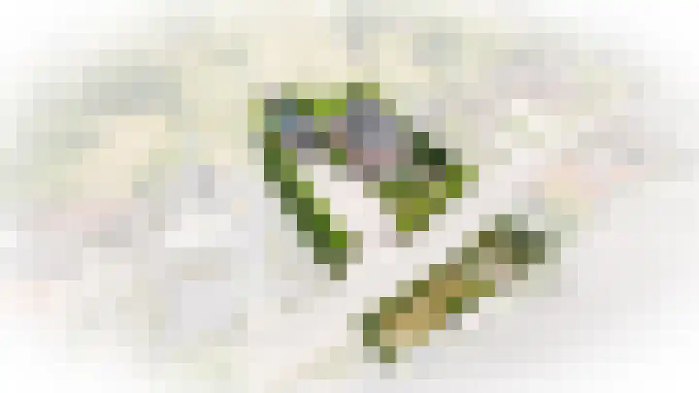 Doetseweg 24 Giessenburg thumbnail 56