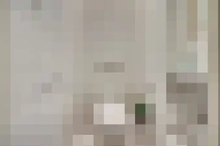 Doevelskerc 16 Zwijndrecht thumbnail 17