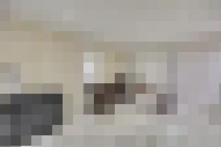 Doevelskerc 16 Zwijndrecht thumbnail 19