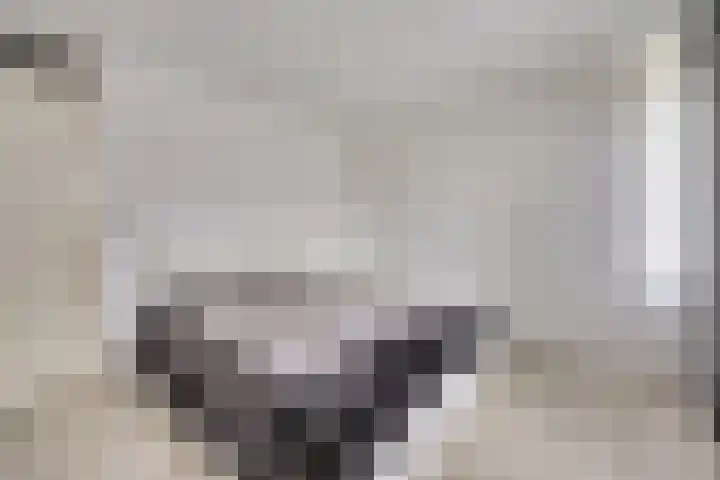 Doevelskerc 16 Zwijndrecht thumbnail 24
