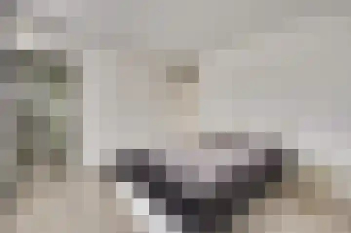 Doevelskerc 16 Zwijndrecht thumbnail 25