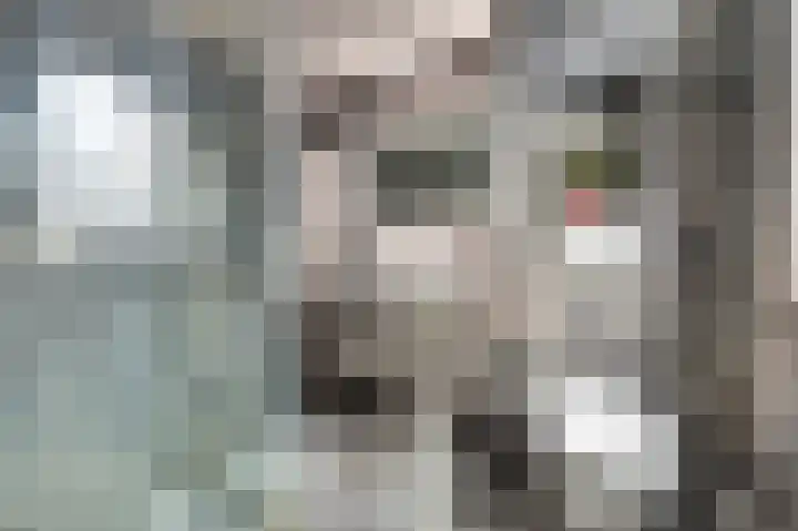 Doevelskerc 16 Zwijndrecht thumbnail 33