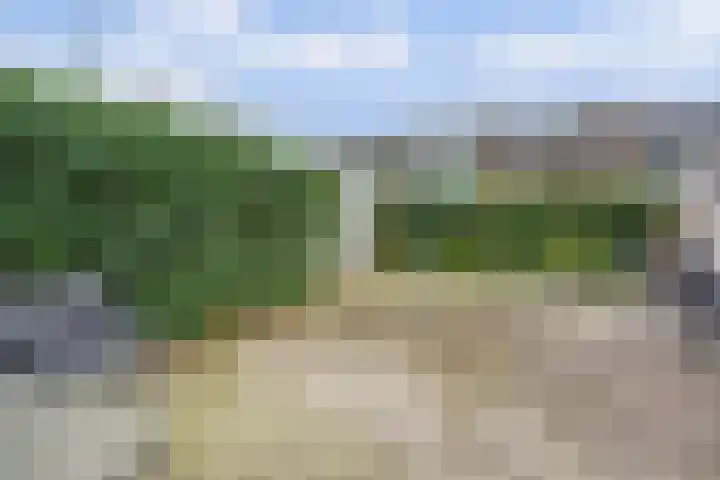 Doevelskerc 16 Zwijndrecht thumbnail 44