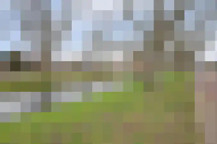 Doevelskerc 16 Zwijndrecht thumbnail 48