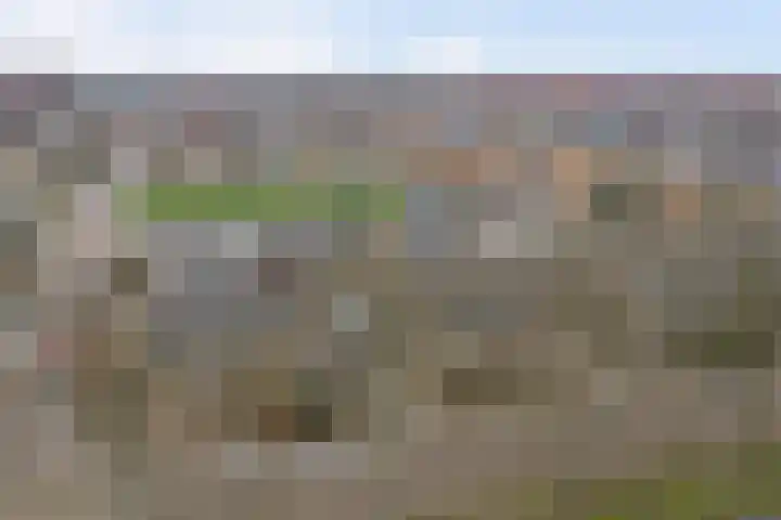 Doevelskerc 16 Zwijndrecht thumbnail 50