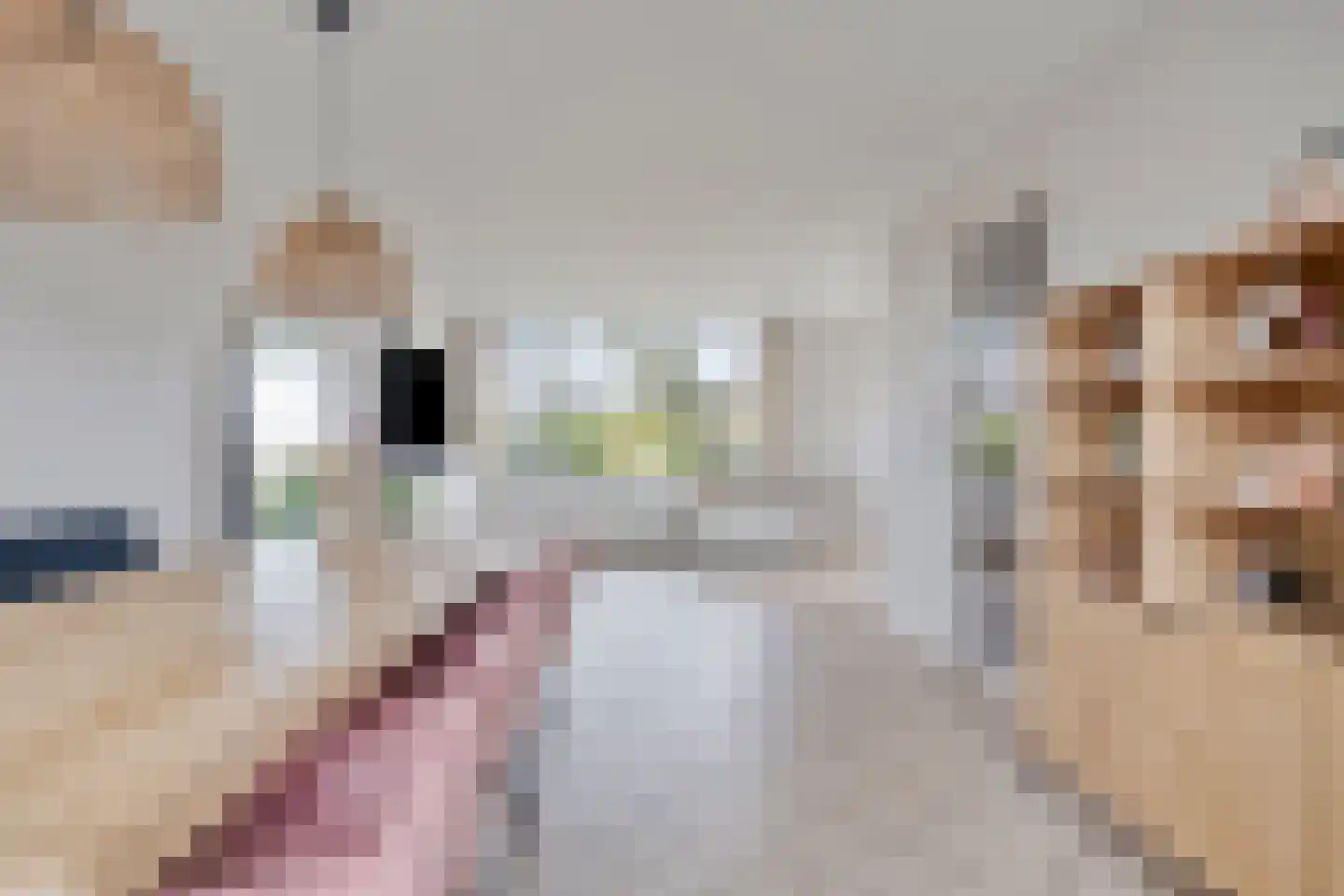 Doevelskerc 17 Zwijndrecht thumbnail 17