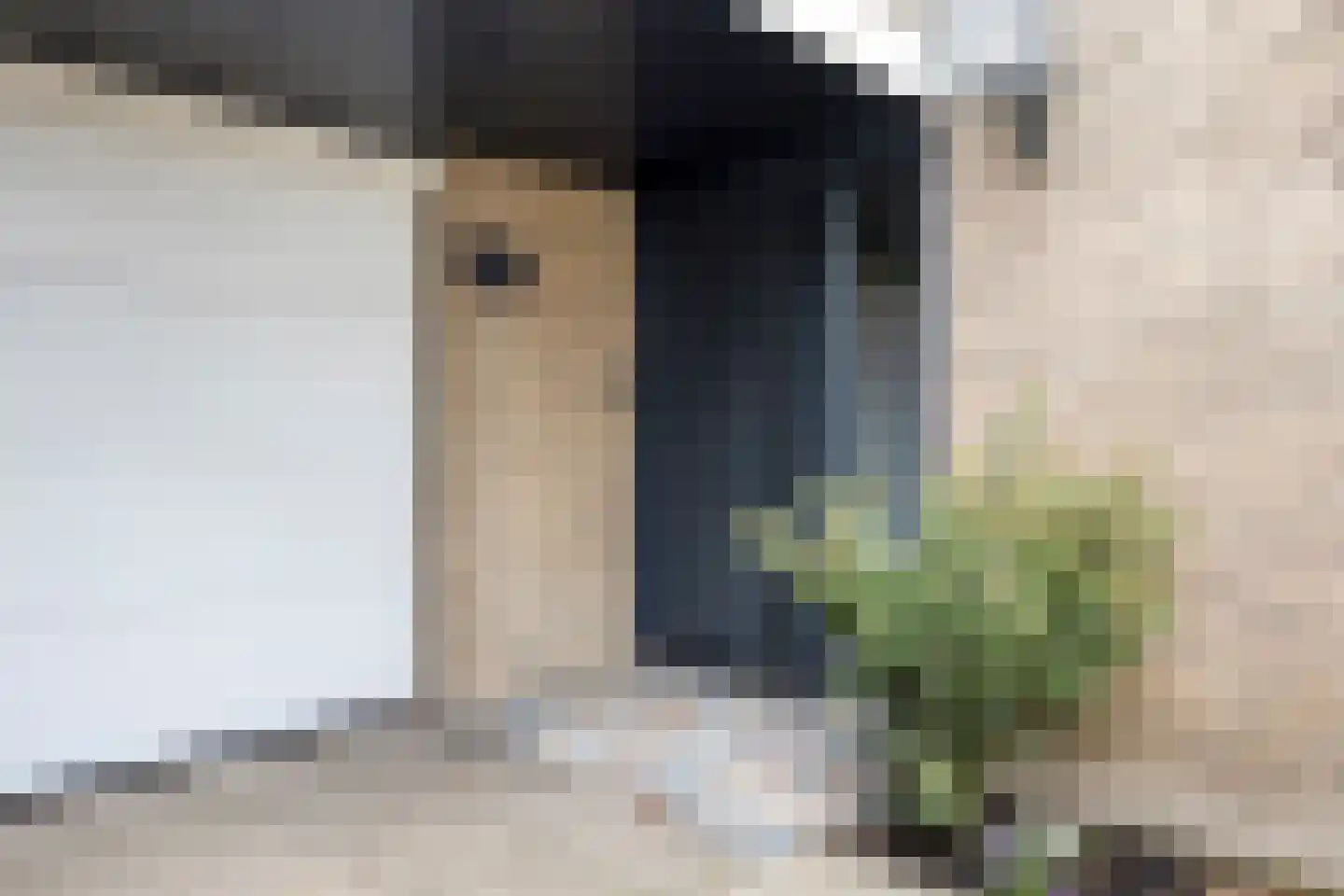 Doevelskerc 17 Zwijndrecht thumbnail 5