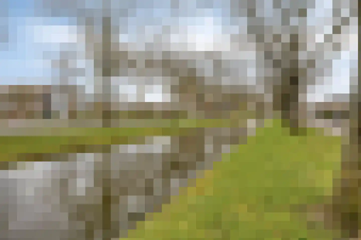 Doevelskerc 17 Zwijndrecht thumbnail 55