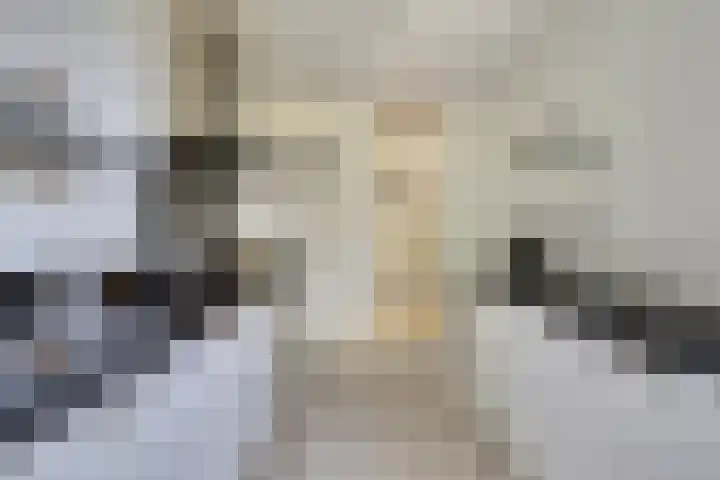 Doevelskerc 6 Zwijndrecht thumbnail 15