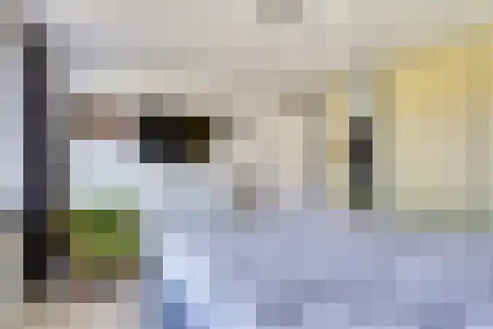 Doevelskerc 6 Zwijndrecht thumbnail 17