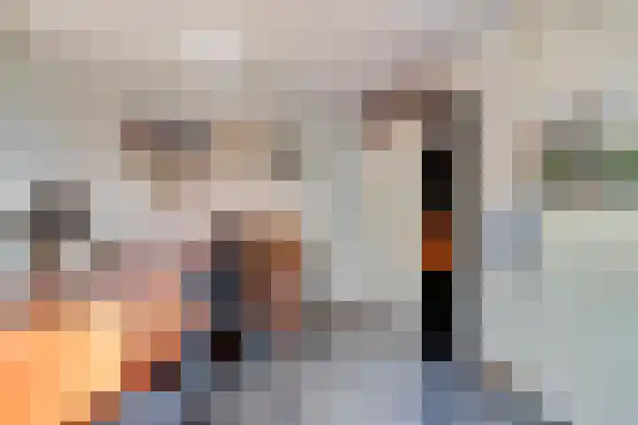 Doevelskerc 6 Zwijndrecht thumbnail 19