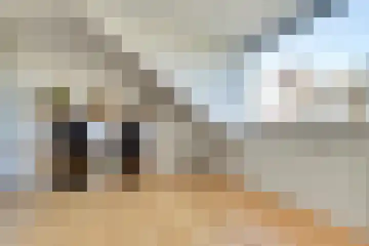 Doevelskerc 6 Zwijndrecht thumbnail 34